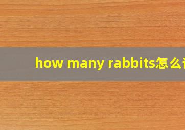 how many rabbits怎么读